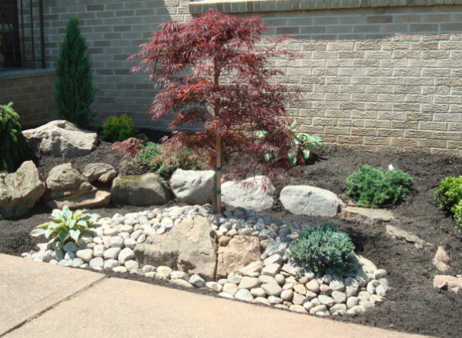 Landscaped garden bed with red maple tree and various rocks and plants against a brick wall.