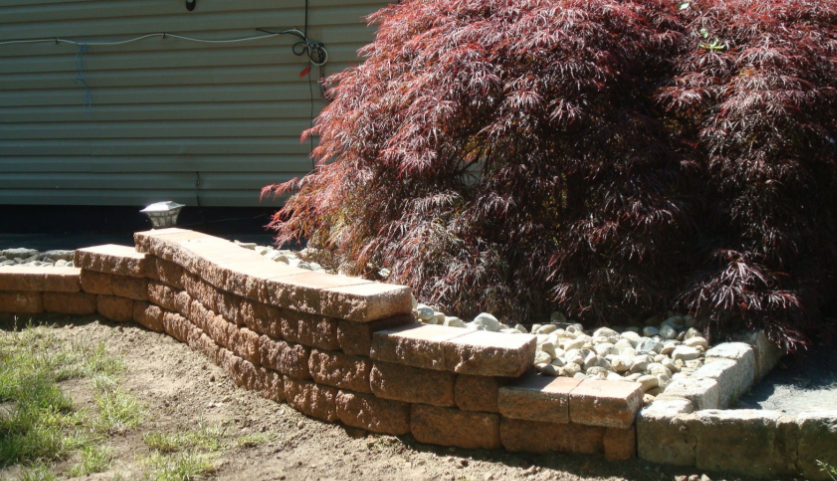 Low brick retaining wall, Japanese maple tree, gravel bed, and siding in a yard.