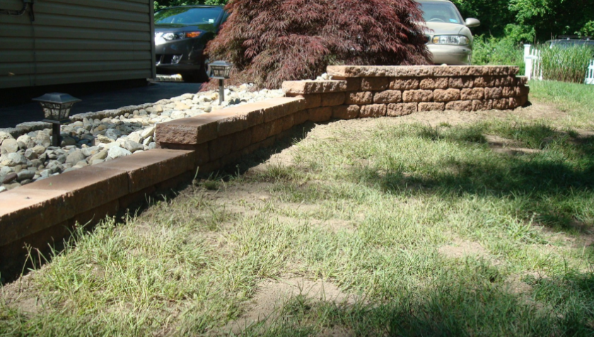 Brick retaining wall in a yard, with grass and a dark red tree in the background.
