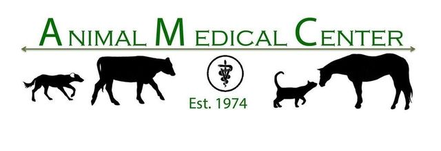 empirevetcare.com - animal medical centres website - BNEXT