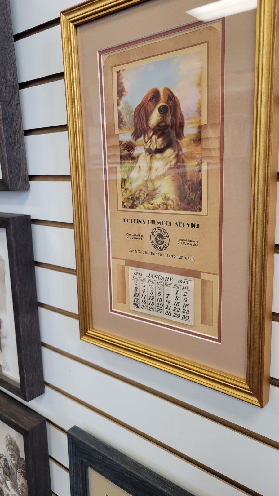 A framed picture of a dog is hanging on a wall.