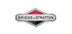 Briggs & Stratton
