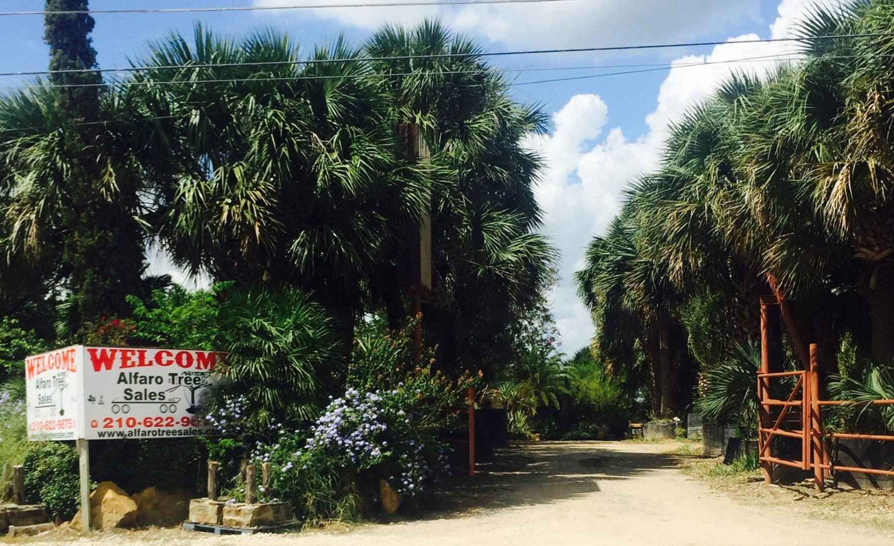 A sign on the side of a dirt road says welcome