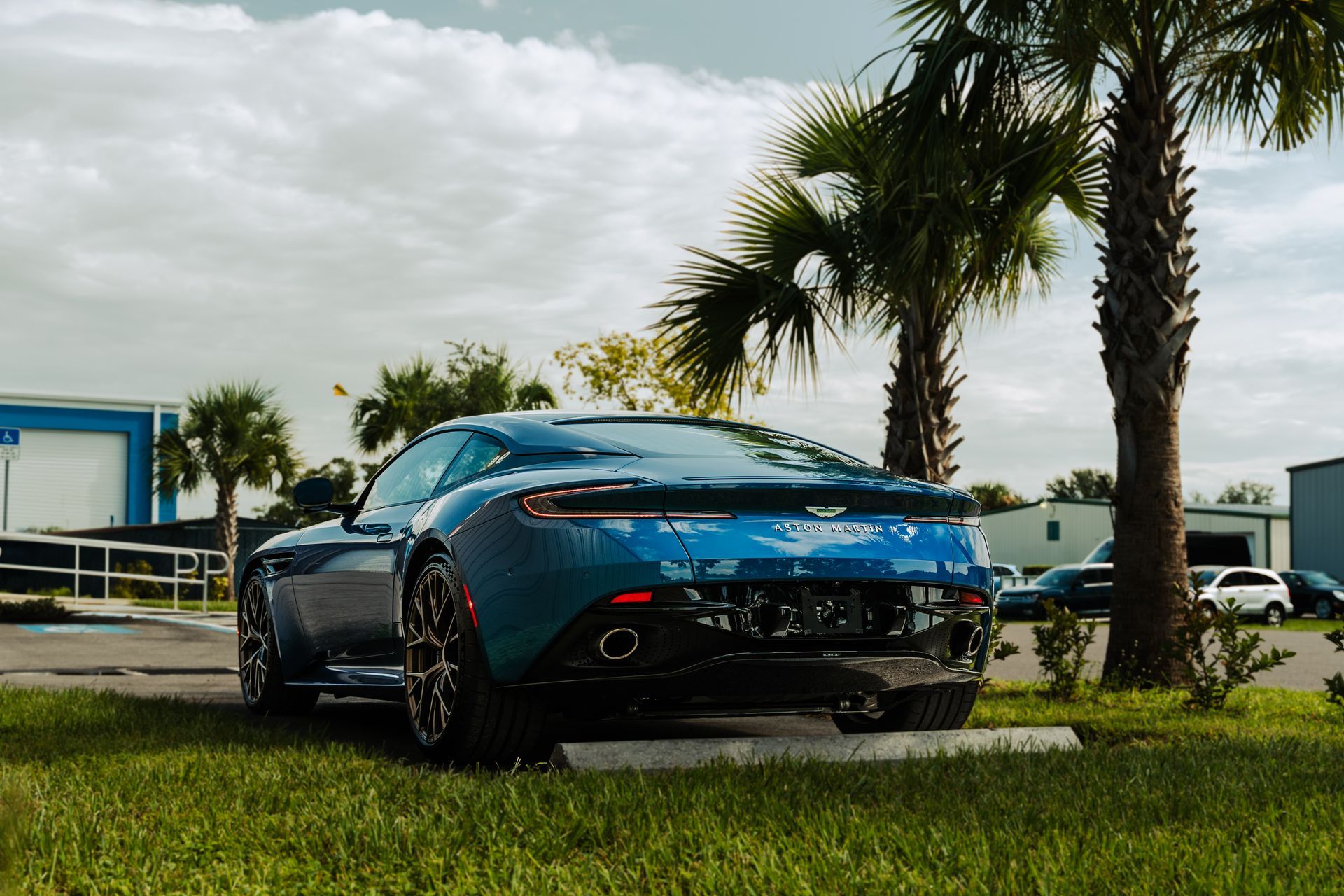 Blue sports car parked on grass beside palm trees under a cloudy sky