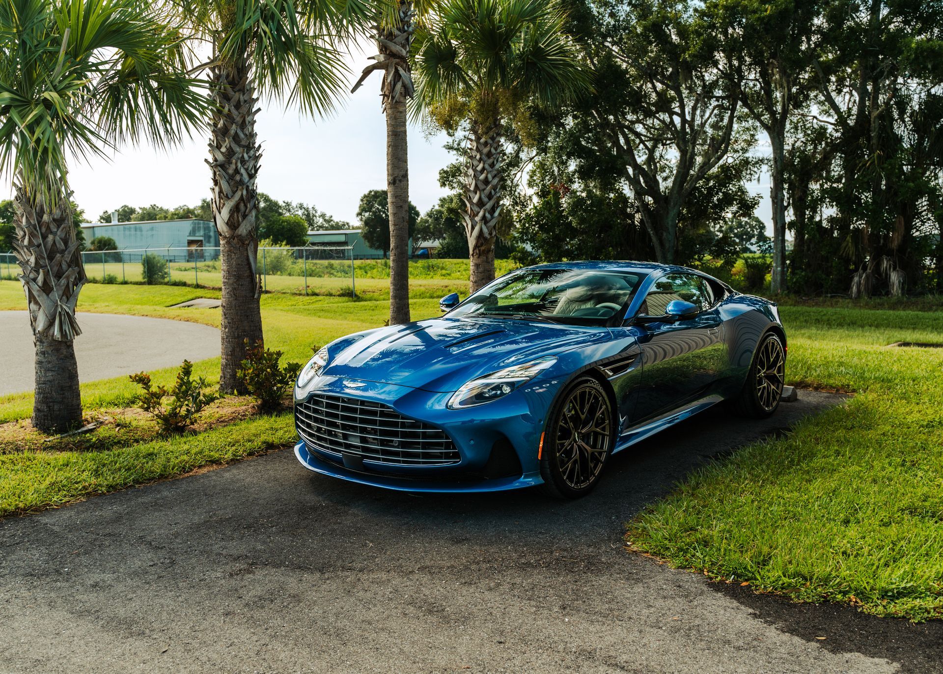 Blue sports car parked on grass under trees beside a country road