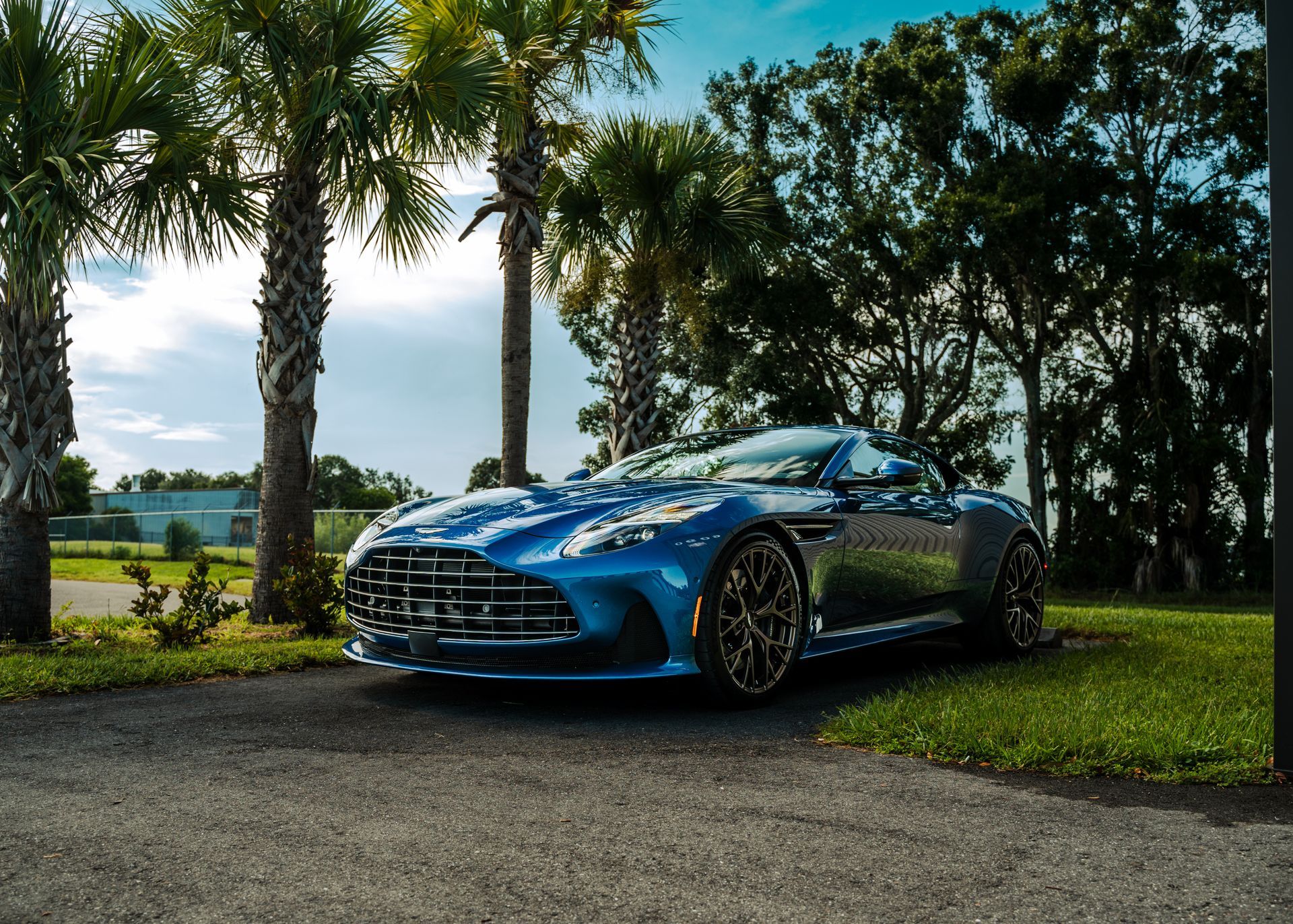 Blue sports car parked on a grassy roadside under palm trees near a lake