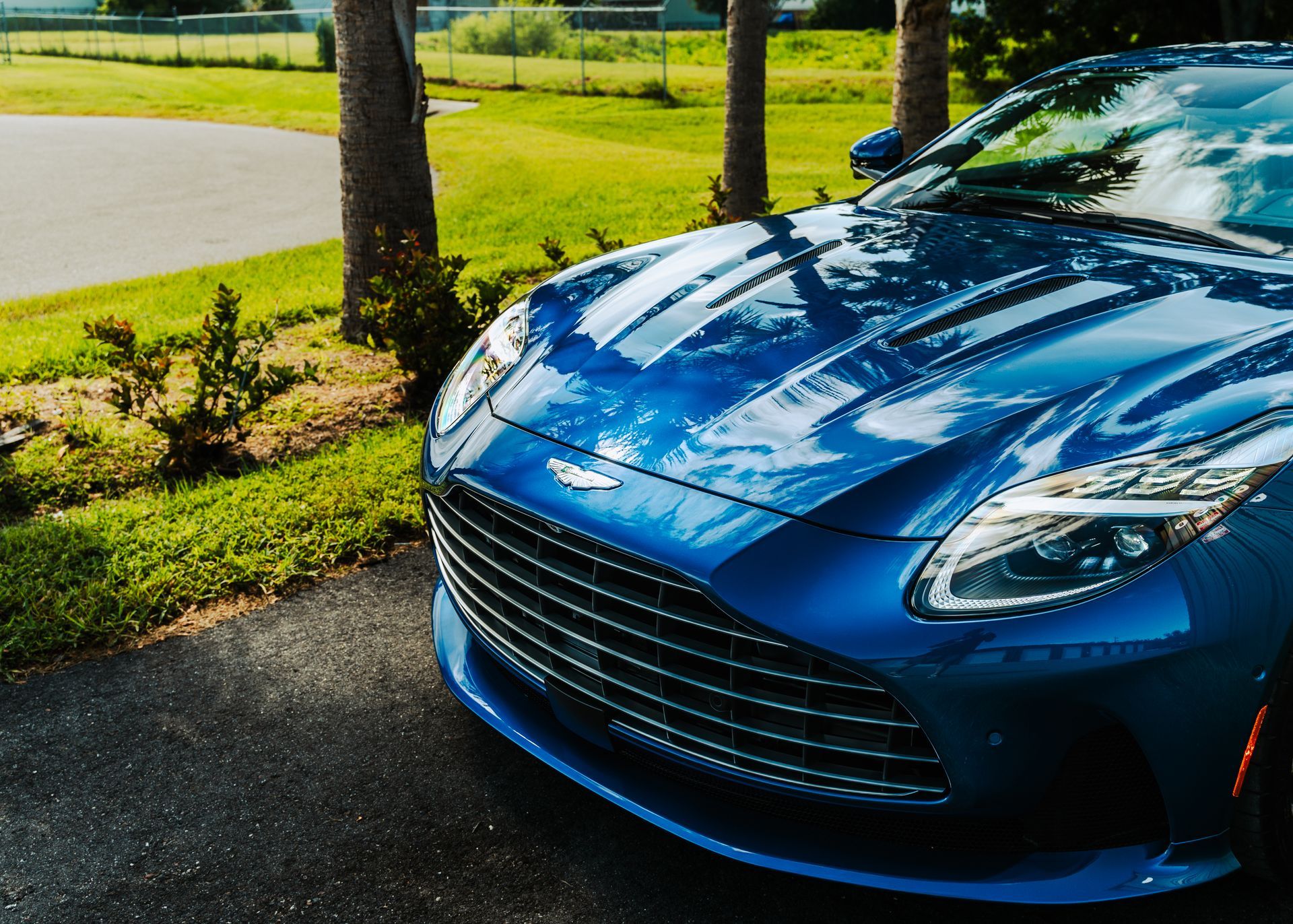 Blue sports car parked by a grassy roadside in sunlight