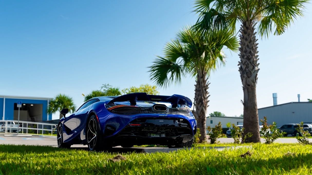 Blue sports car parked on grass near palm trees under a clear sky