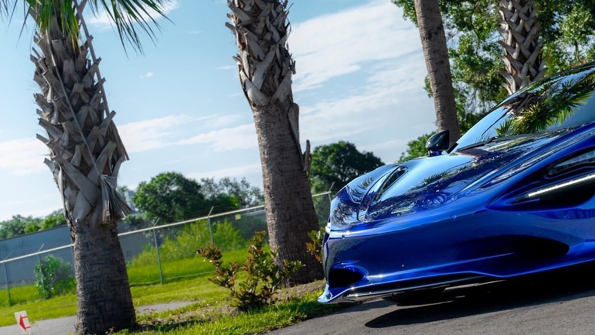 Blue sports car parked beside palm trees on a sunny roadside