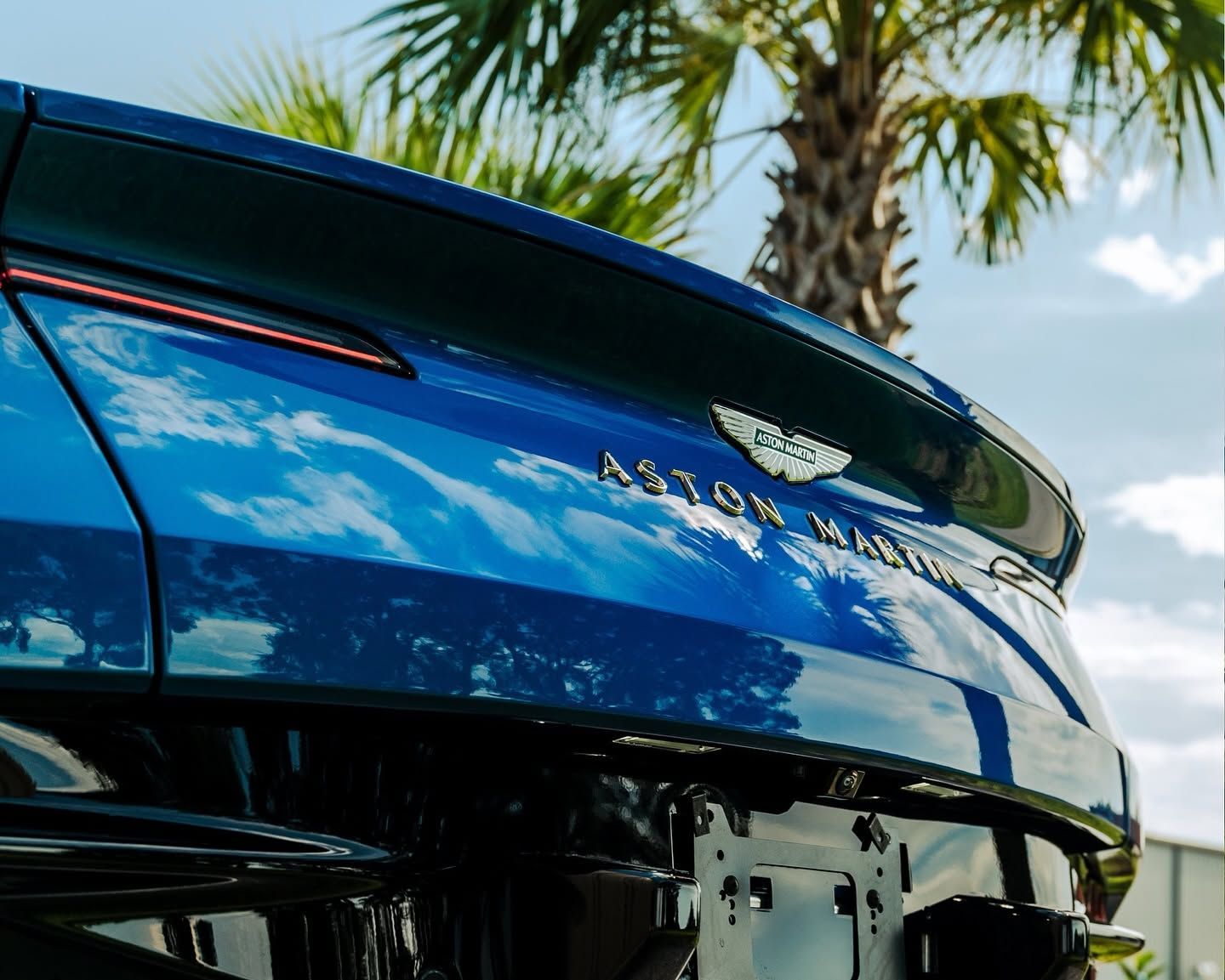 Blue car trunk with palm trees reflected on its glossy rear panel