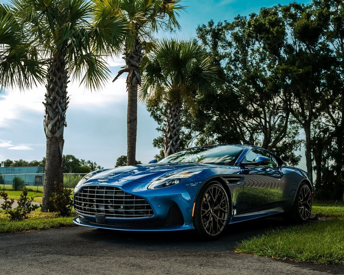 Blue sports car parked on a road with palm trees and greenery in the background