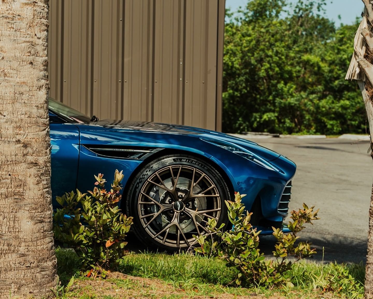 Blue sports car partly hidden behind a beige building, parked beside greenery near a driveway.