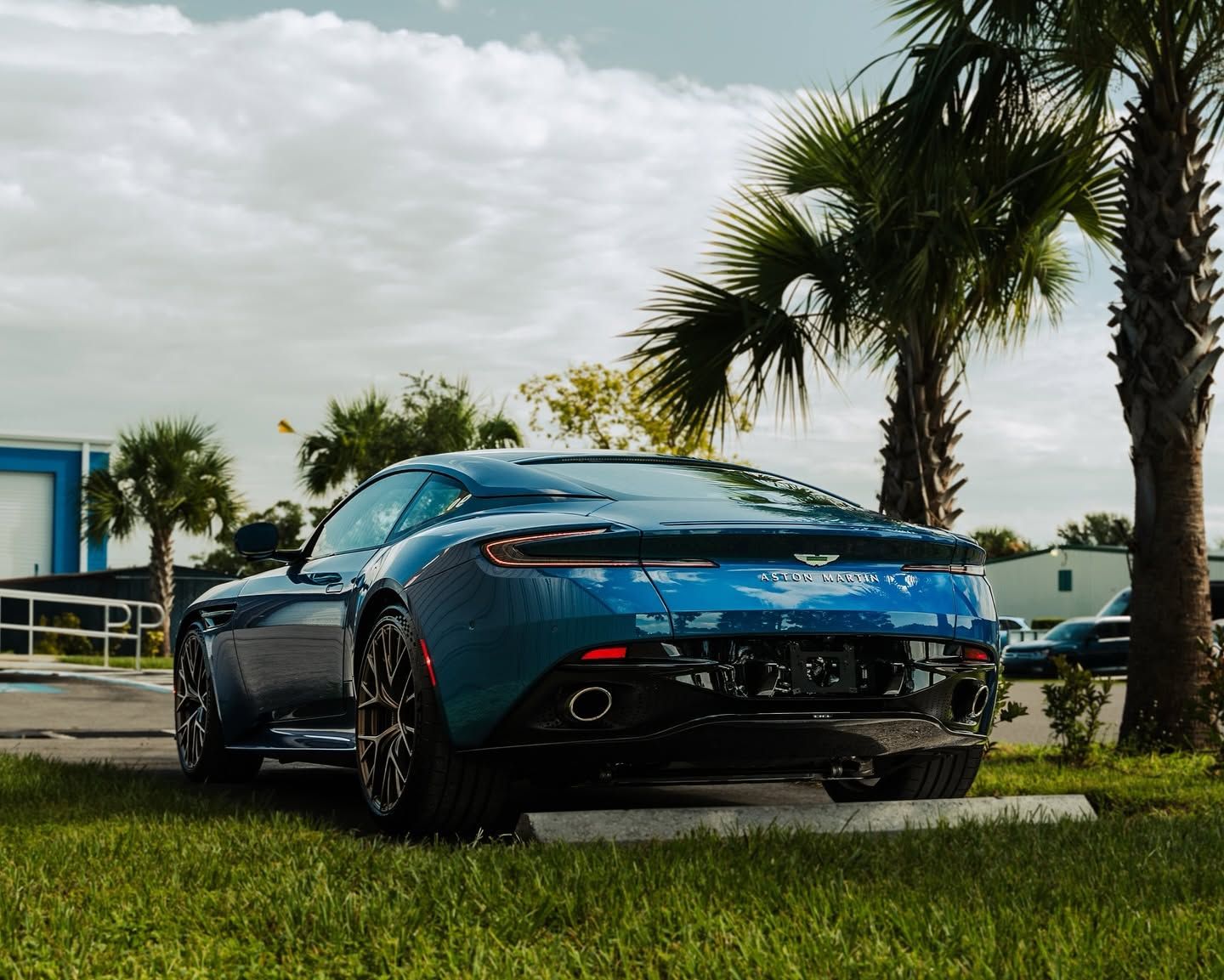Blue sports car parked on grass near palm trees under a cloudy sky