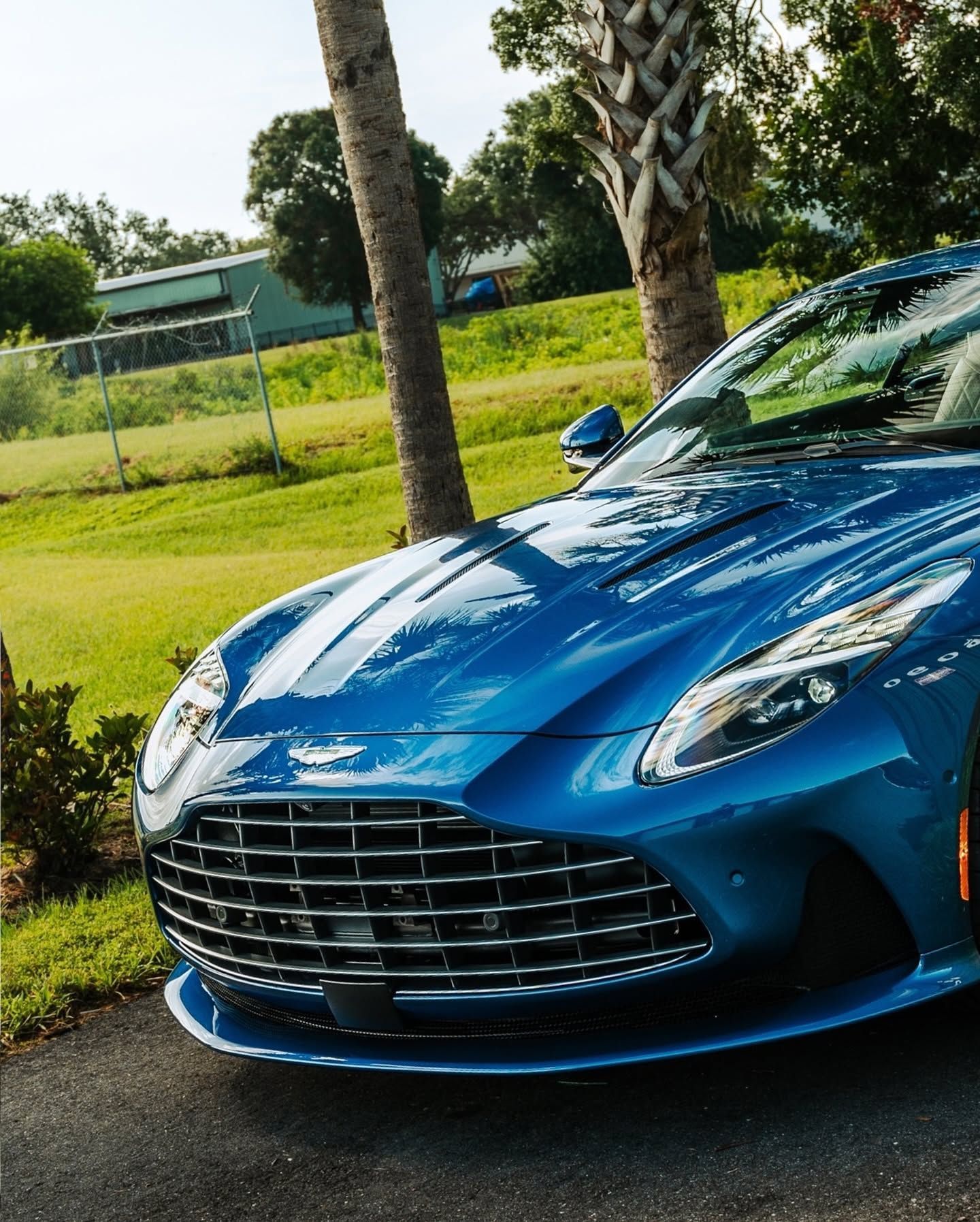 Blue sports car parked on grass by palm trees on a sunny day