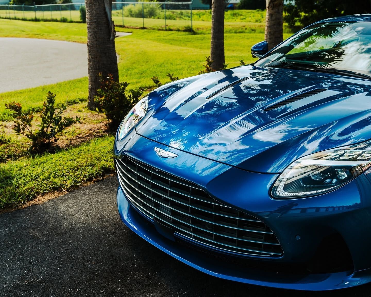Blue sports car parked on a driveway beside a green lawn and palm trees.