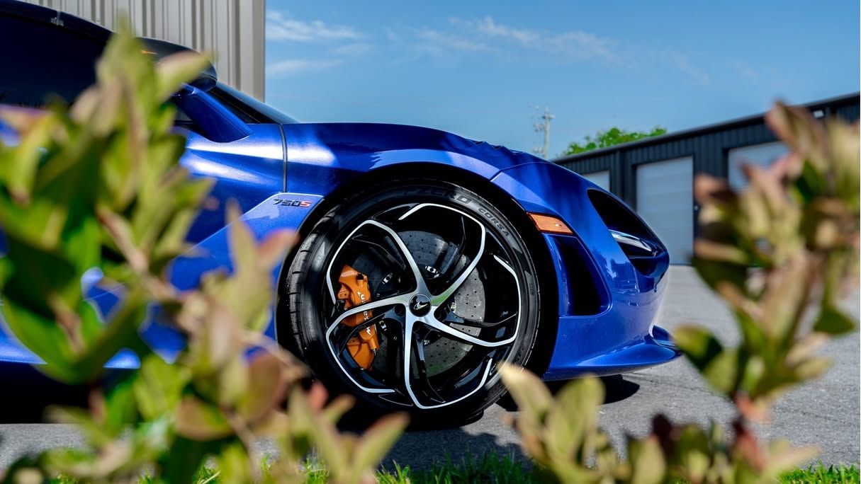 Blue sports car wheel with black rim and orange brake caliper, partly framed by blurred plants outdoors.