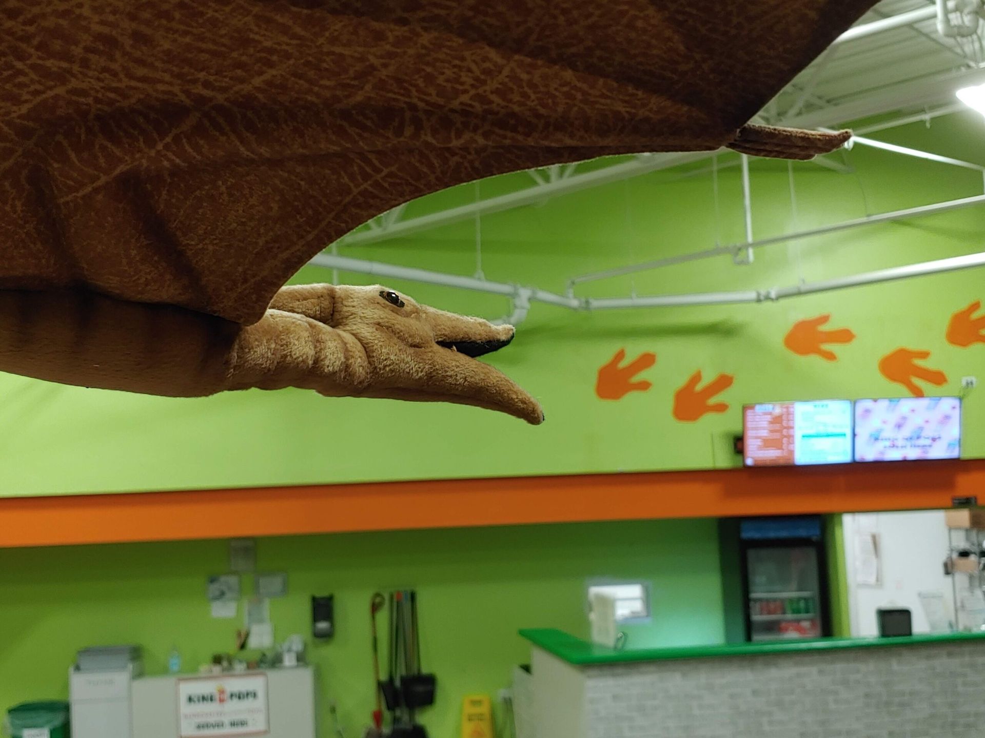 A stuffed dinosaur is hanging from the ceiling of a restaurant