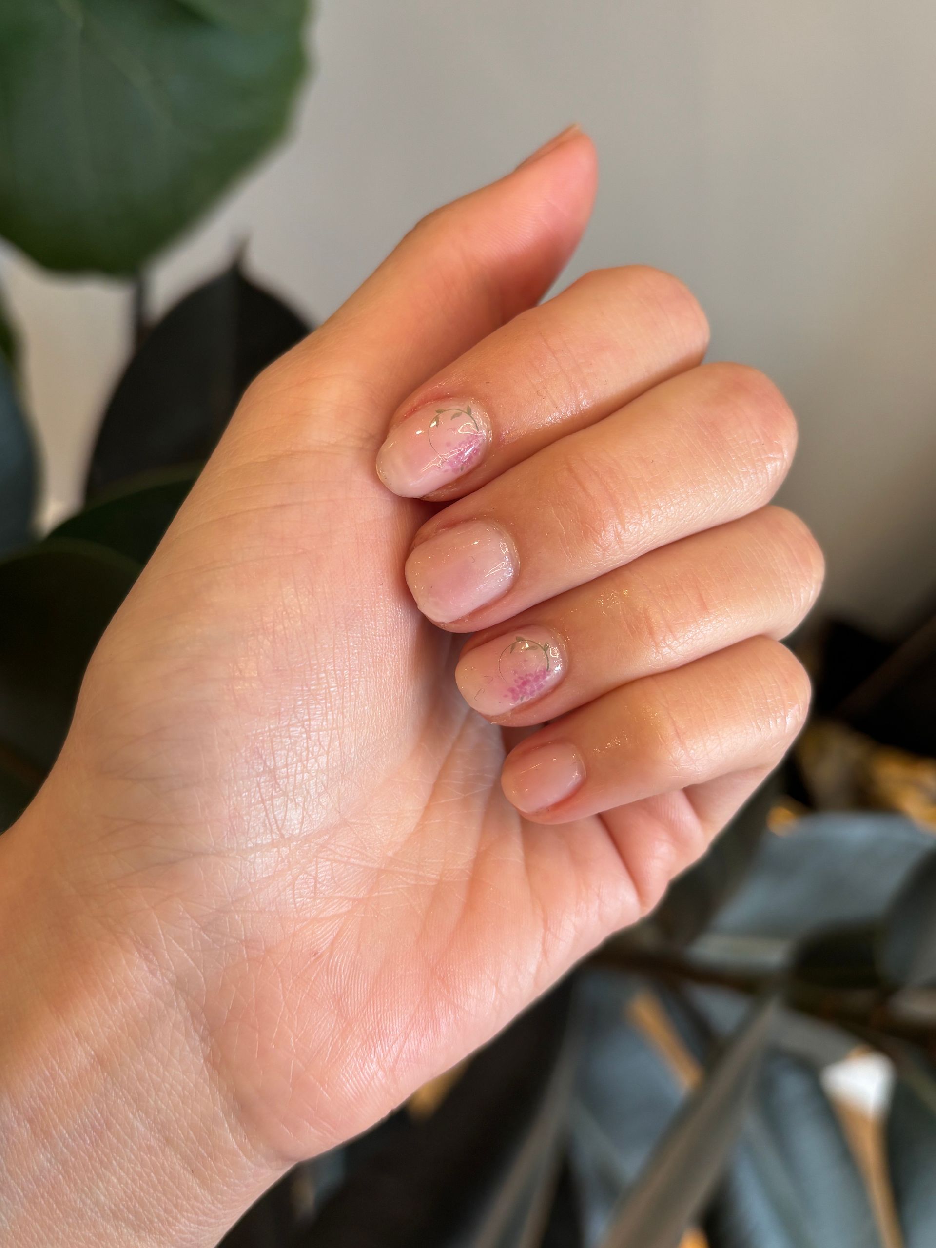 A close up of a person 's hand with a plant in the background.