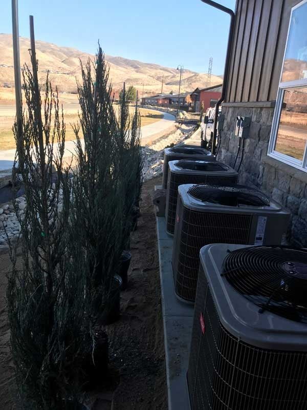 Row of air conditioning units next to building, with tall, thin trees in front, and a mountain in background.
