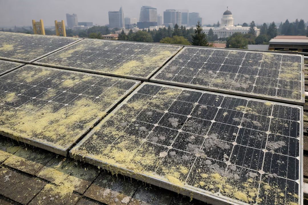 Dirty solar panels on a rooftop with a city skyline in the background