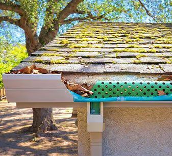Damaged roof gutter with leaves and debris spilling out beside a tree