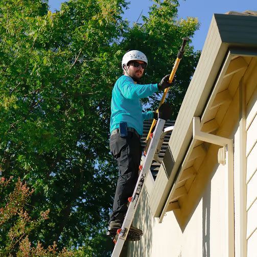 Worker on a ladder painting a house exterior under a bright blue sky
