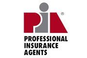 Professional Insurance Agents