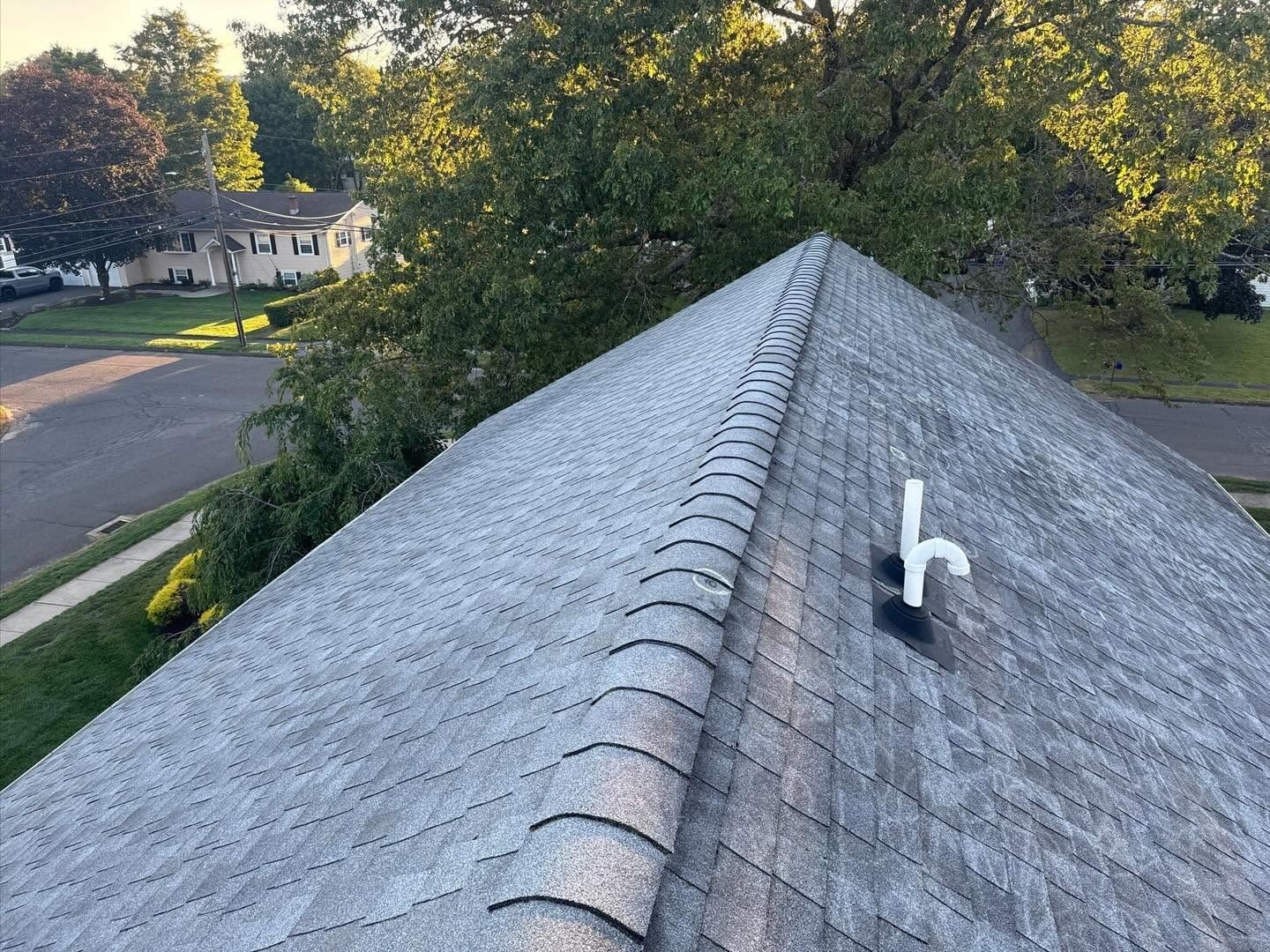 Gray shingled roof with a white vent, viewed from above beside trees and a quiet street