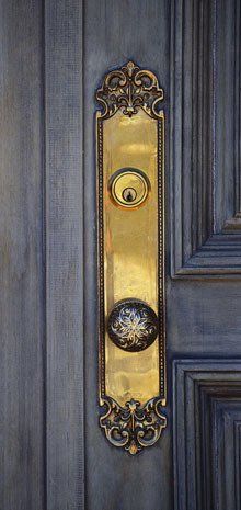 Fancy door plate and door knob