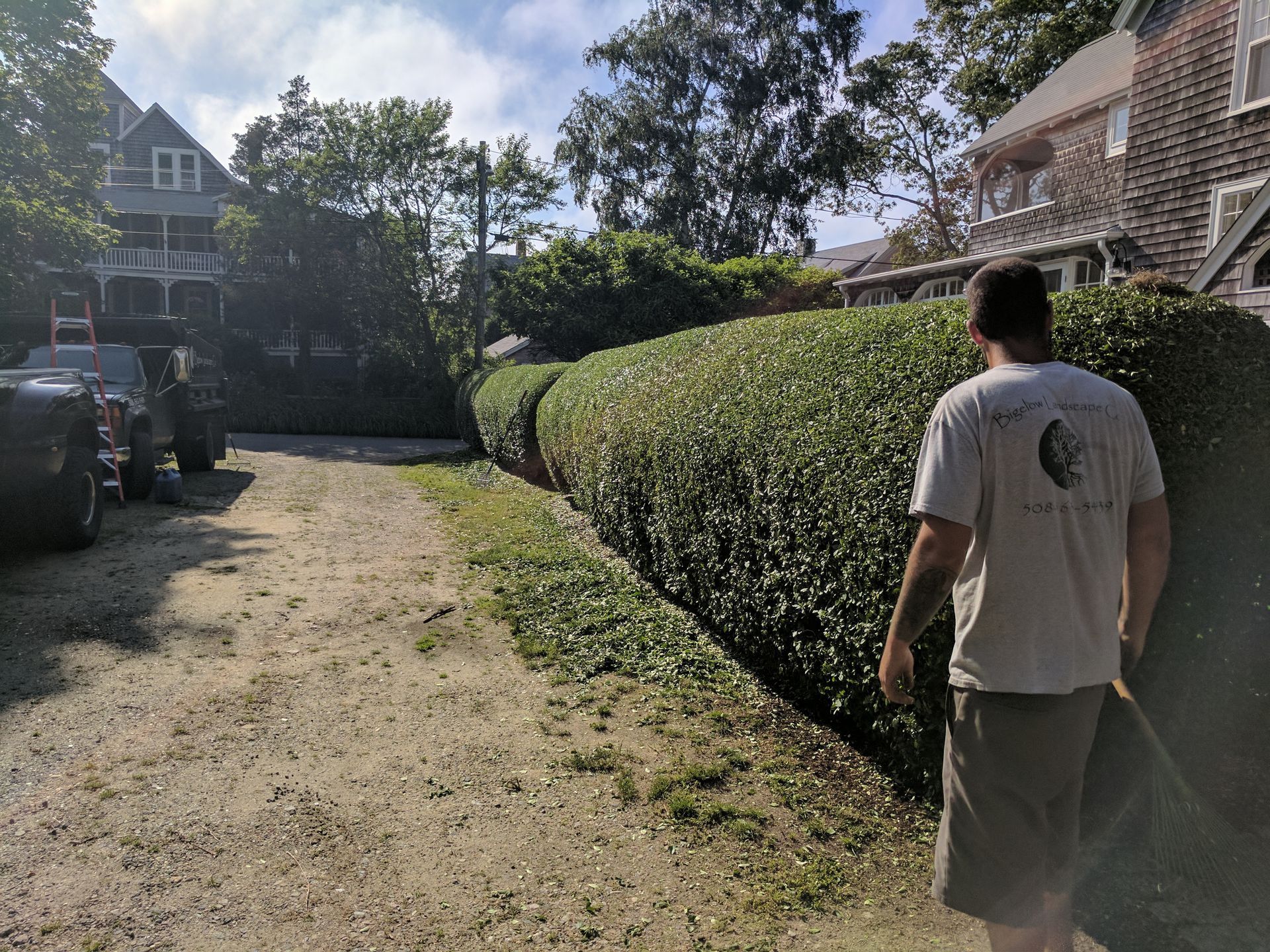 A man is walking down a dirt road next to a hedge.