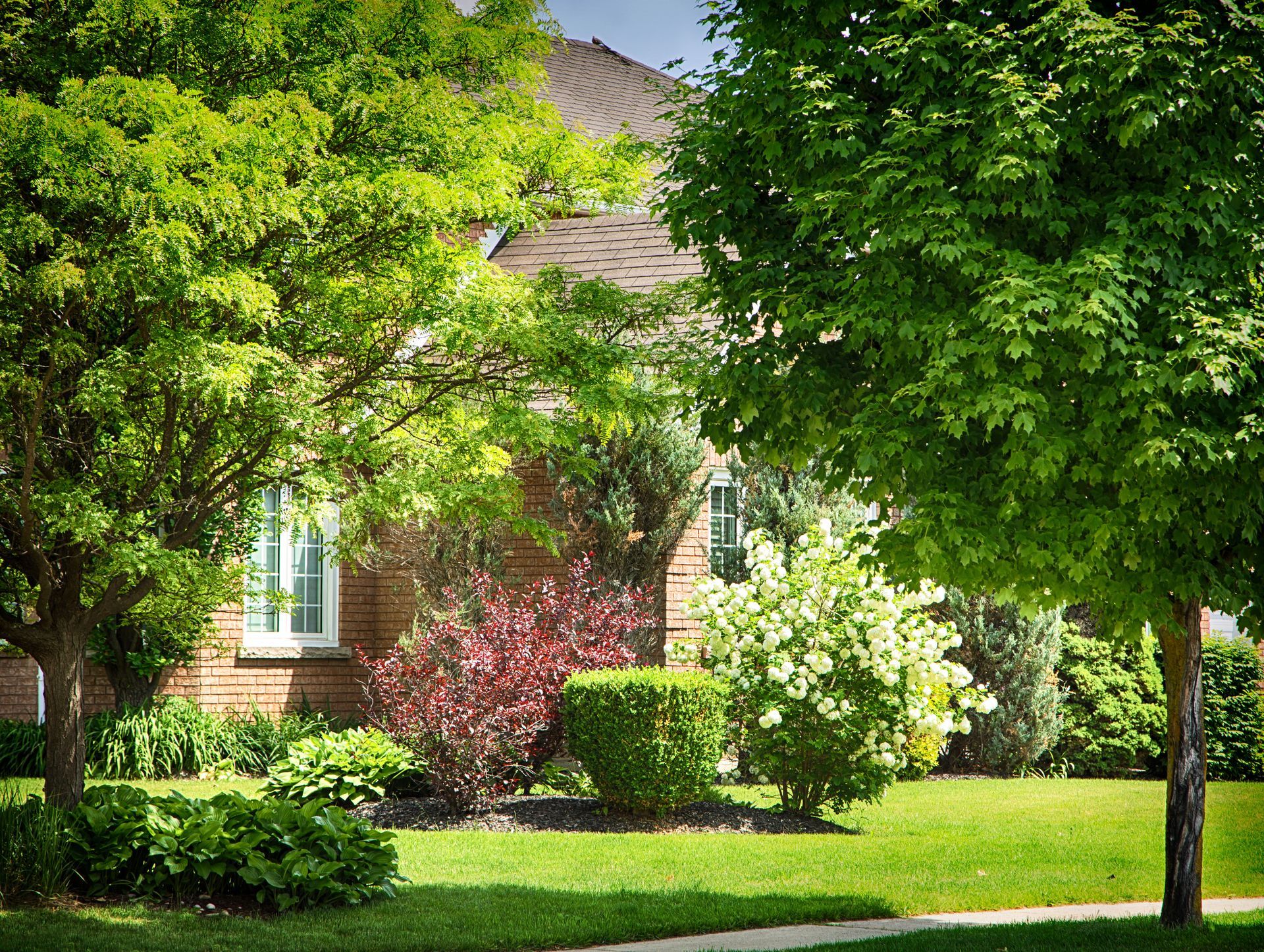 local tree services