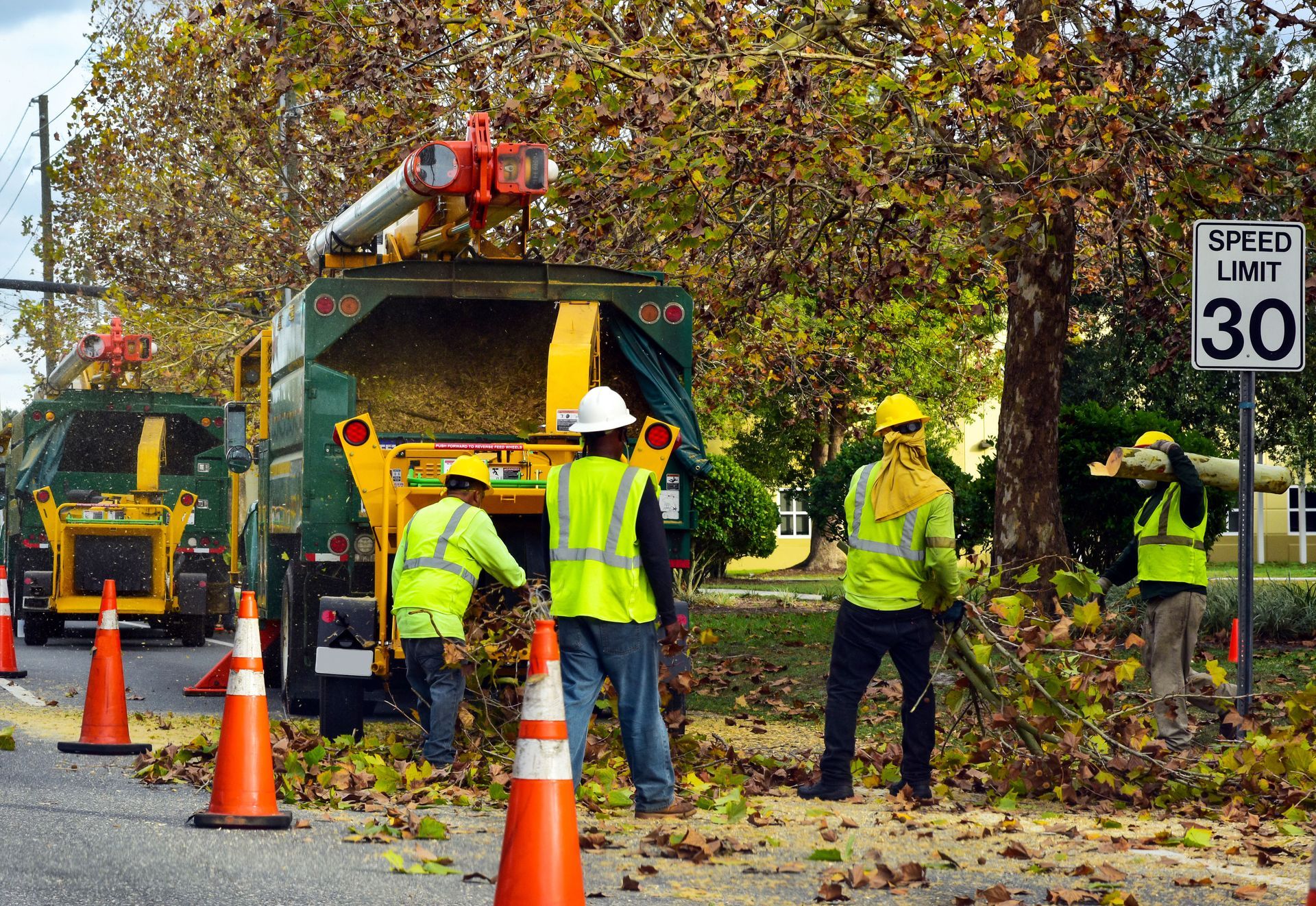 Tree crew chipping branches on street, wearing safety vests and hard hats, orange cones, speed limit sign.