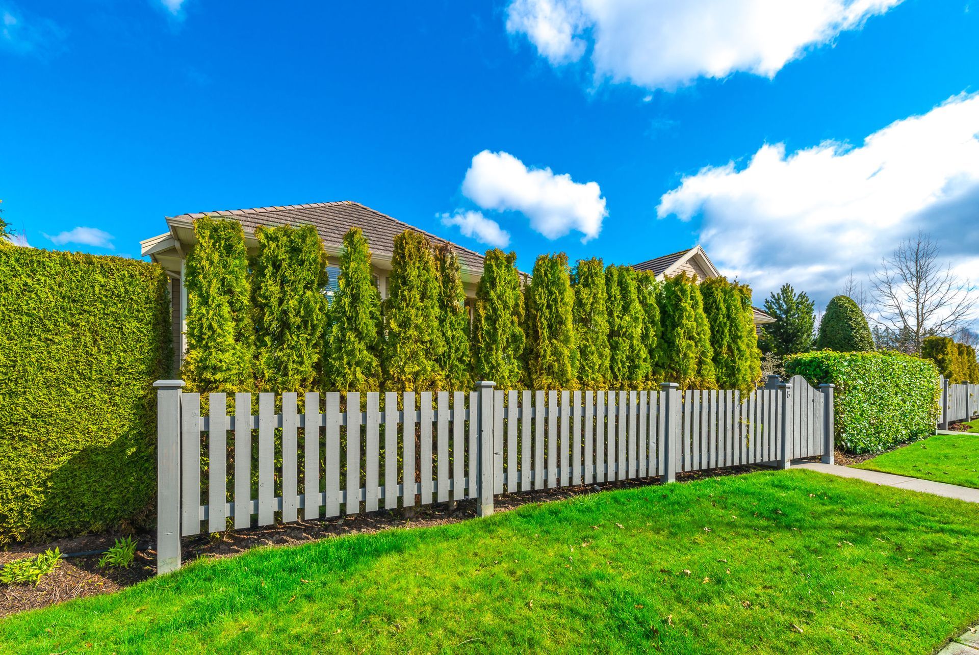 White picket fence and tall green hedge in front of a house, bright blue sky with clouds.