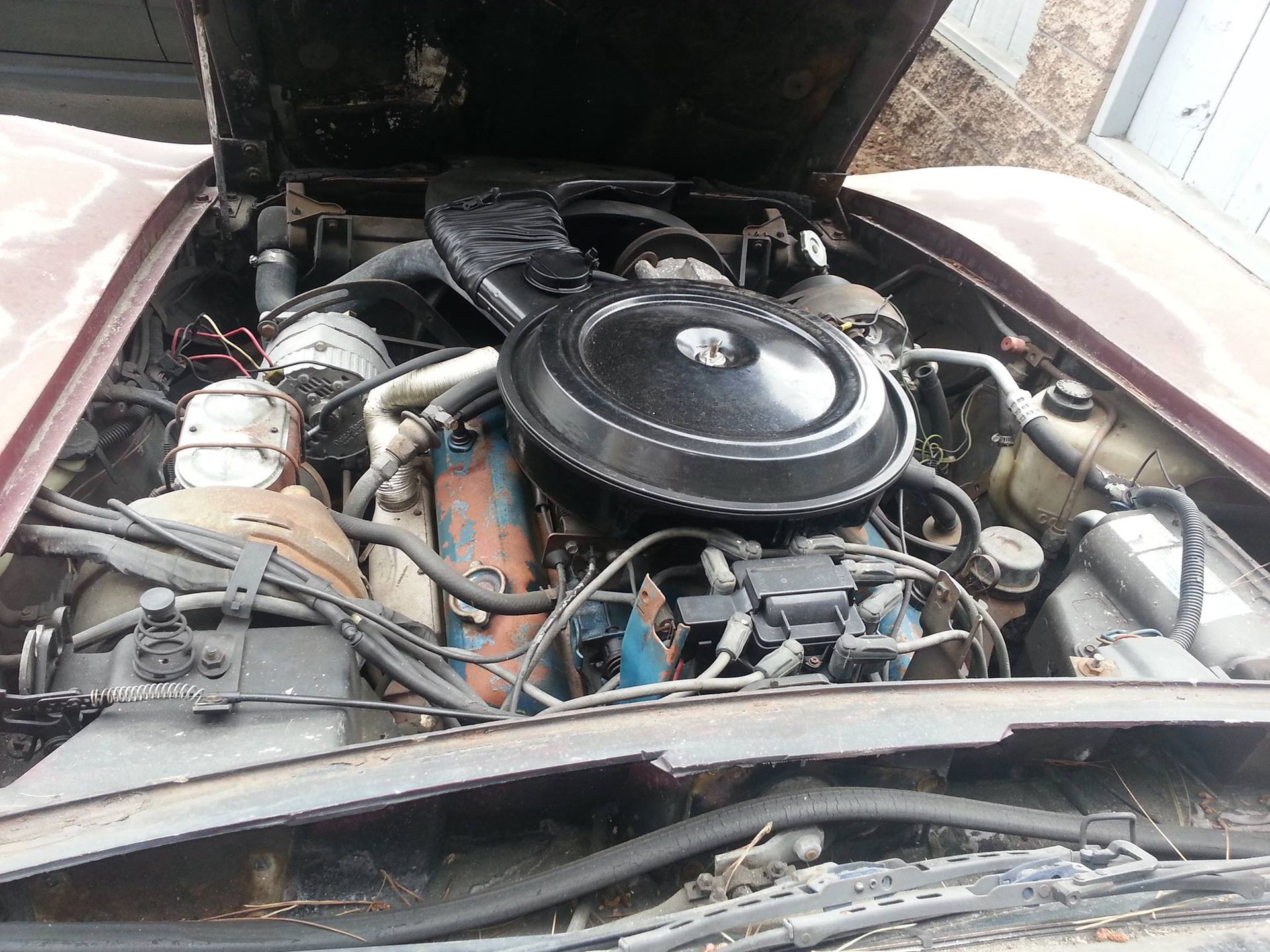 The open hood of a classic car reveals a V8 engine with a large black air cleaner housing and blue valve covers.