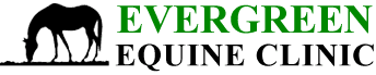 Evergreen Equine Clinic - Logo