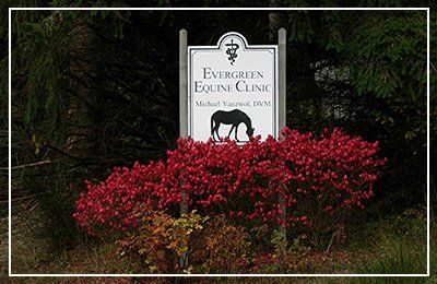 Evergreen Equine Clinic sign