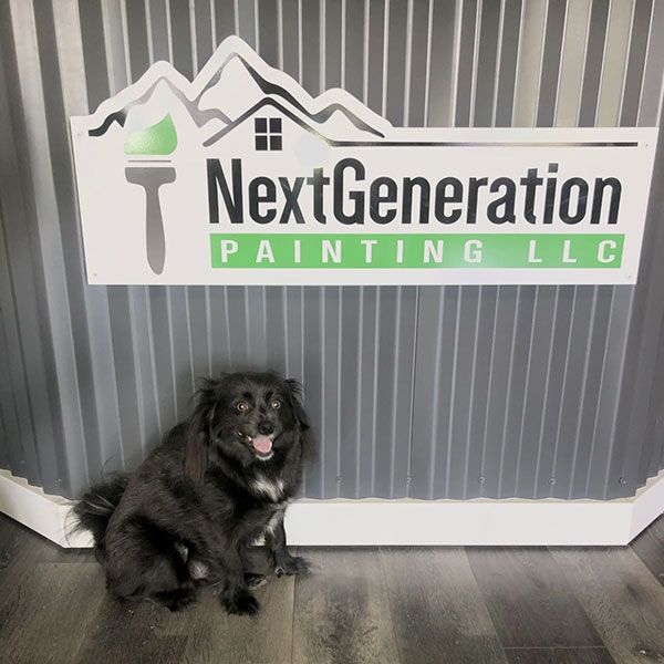 Black dog sitting in front of a sign that reads 