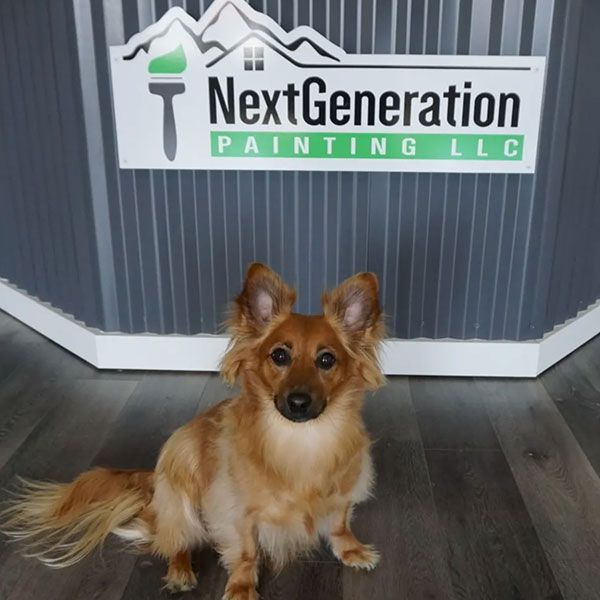 A small, brown dog sits in front of a Next Generation Painting LLC sign.