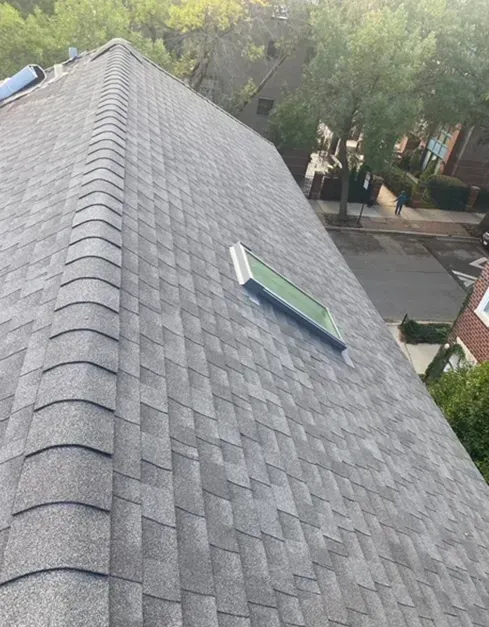 Gray asphalt shingle roof with a skylight. View from above with trees and street in the background.