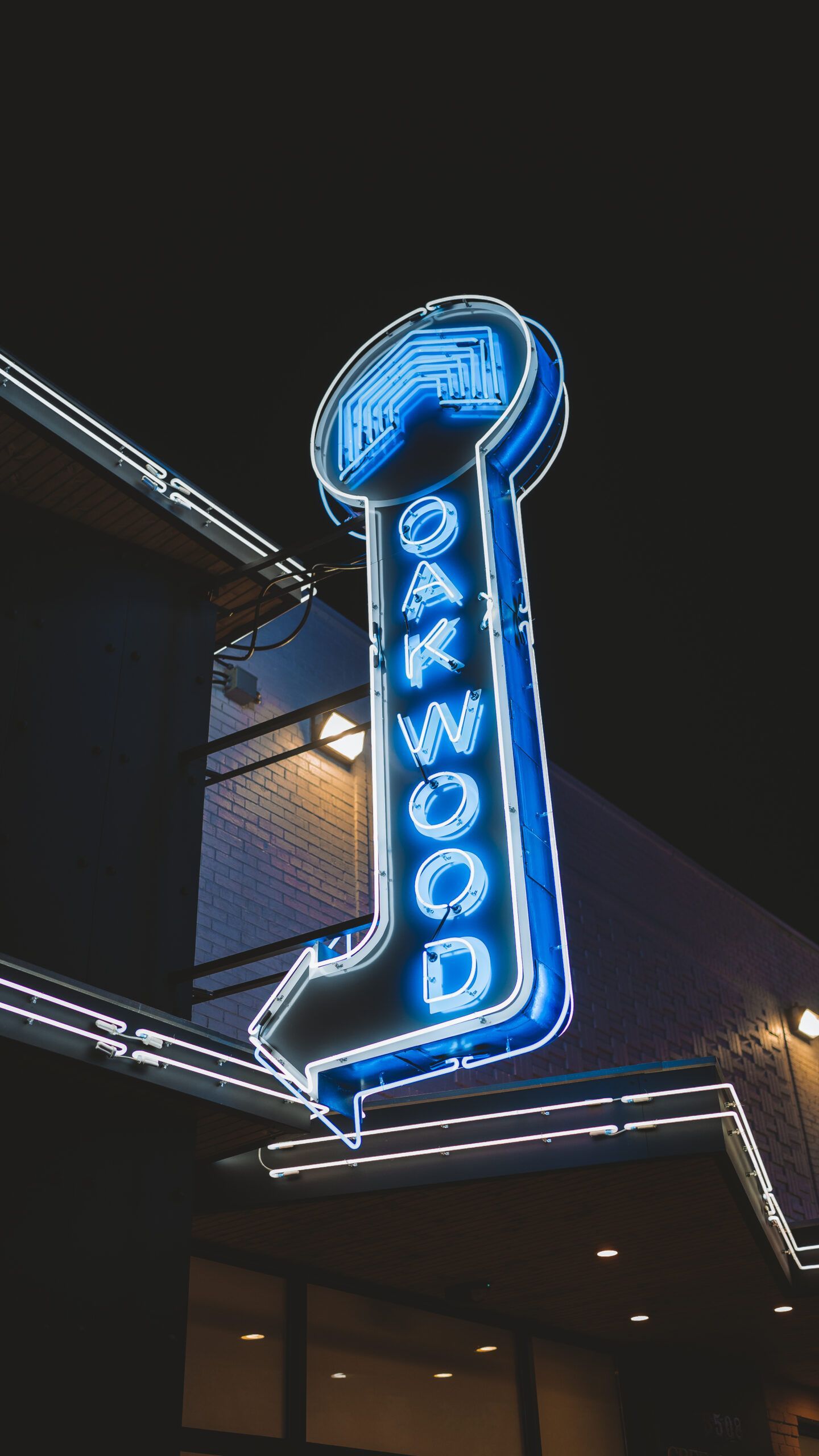 A neon sign that says dogwood is lit up at night
