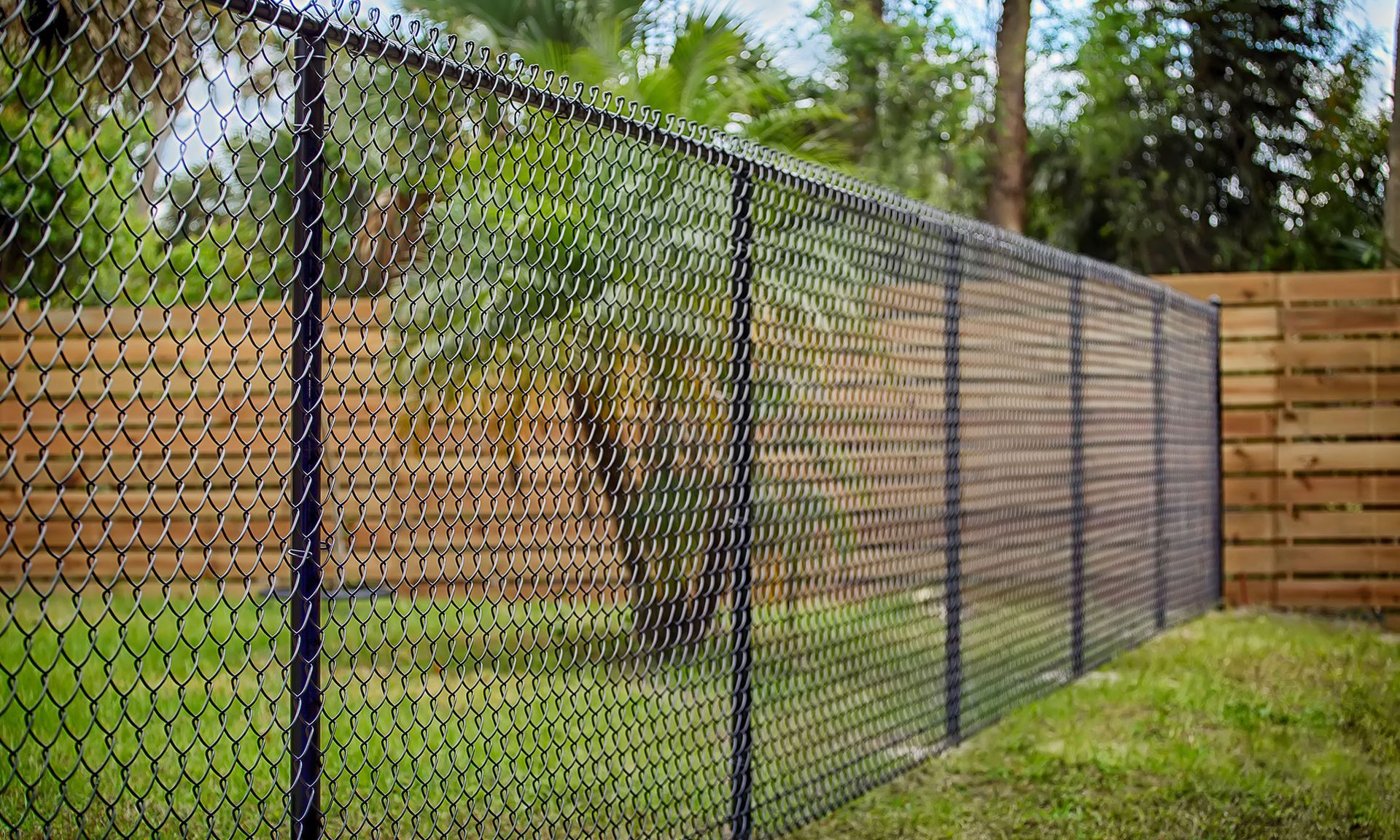 A chain link fence is surrounded by a wooden fence in a backyard.