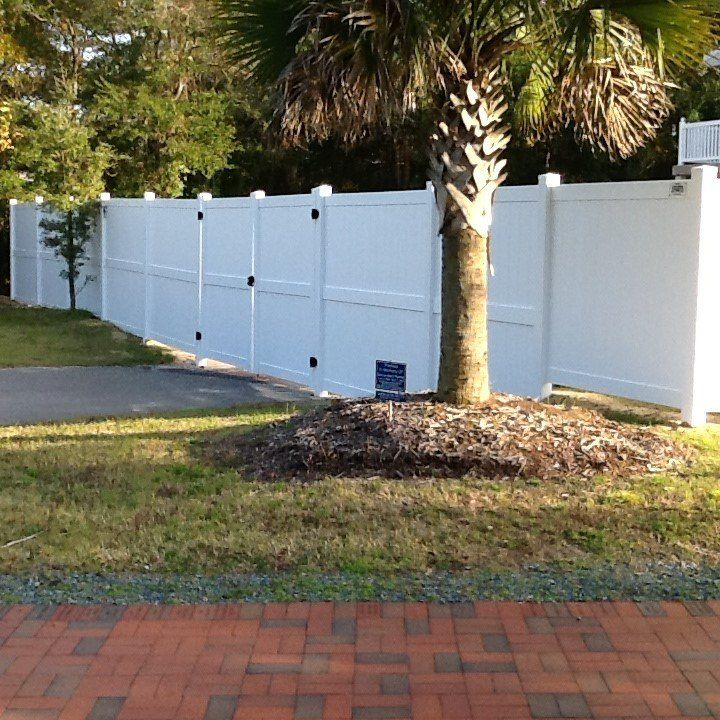 A white fence with a palm tree in front of it
