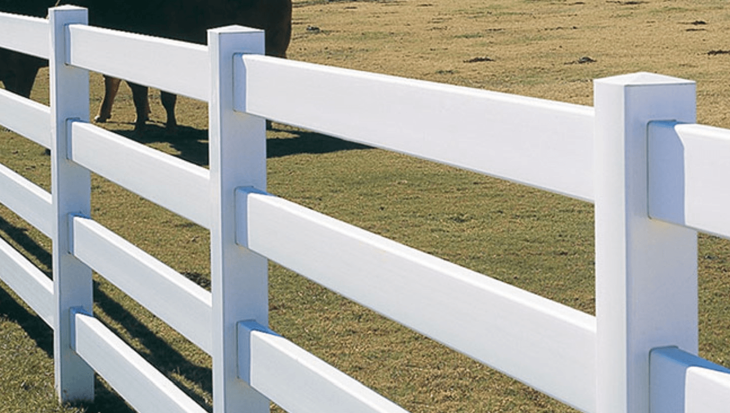 A white fence with two cows behind it