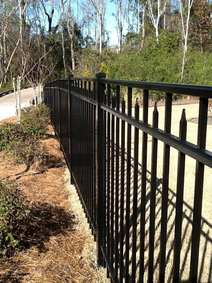 A black metal fence is surrounded by trees and grass in a park.