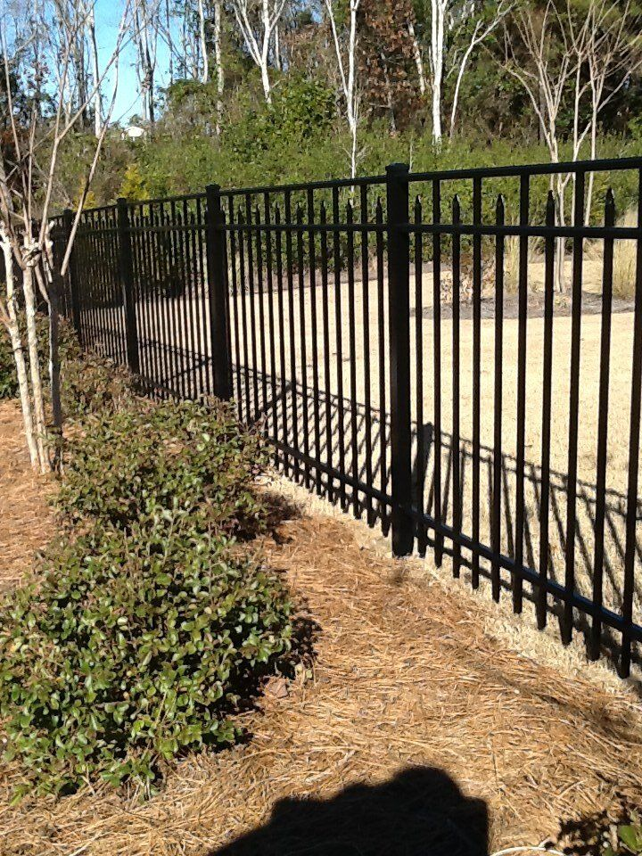 A black metal fence surrounds a lush green field.