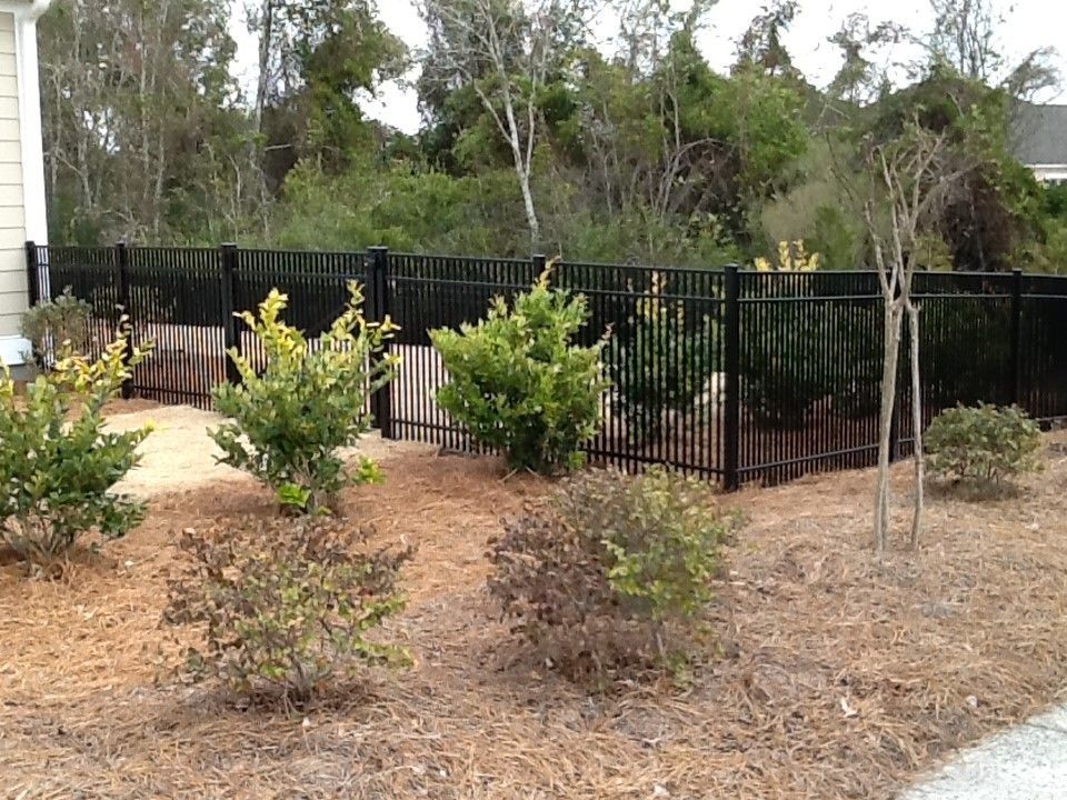 A black fence is surrounded by trees and bushes