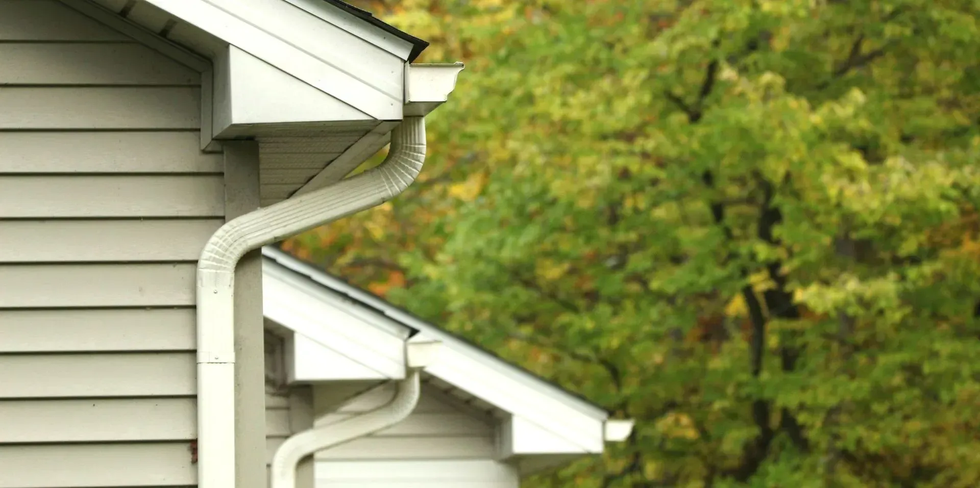 Light gray vinyl siding on a house exterior featuring white gutters and downspouts against a blurred green tree backdrop.