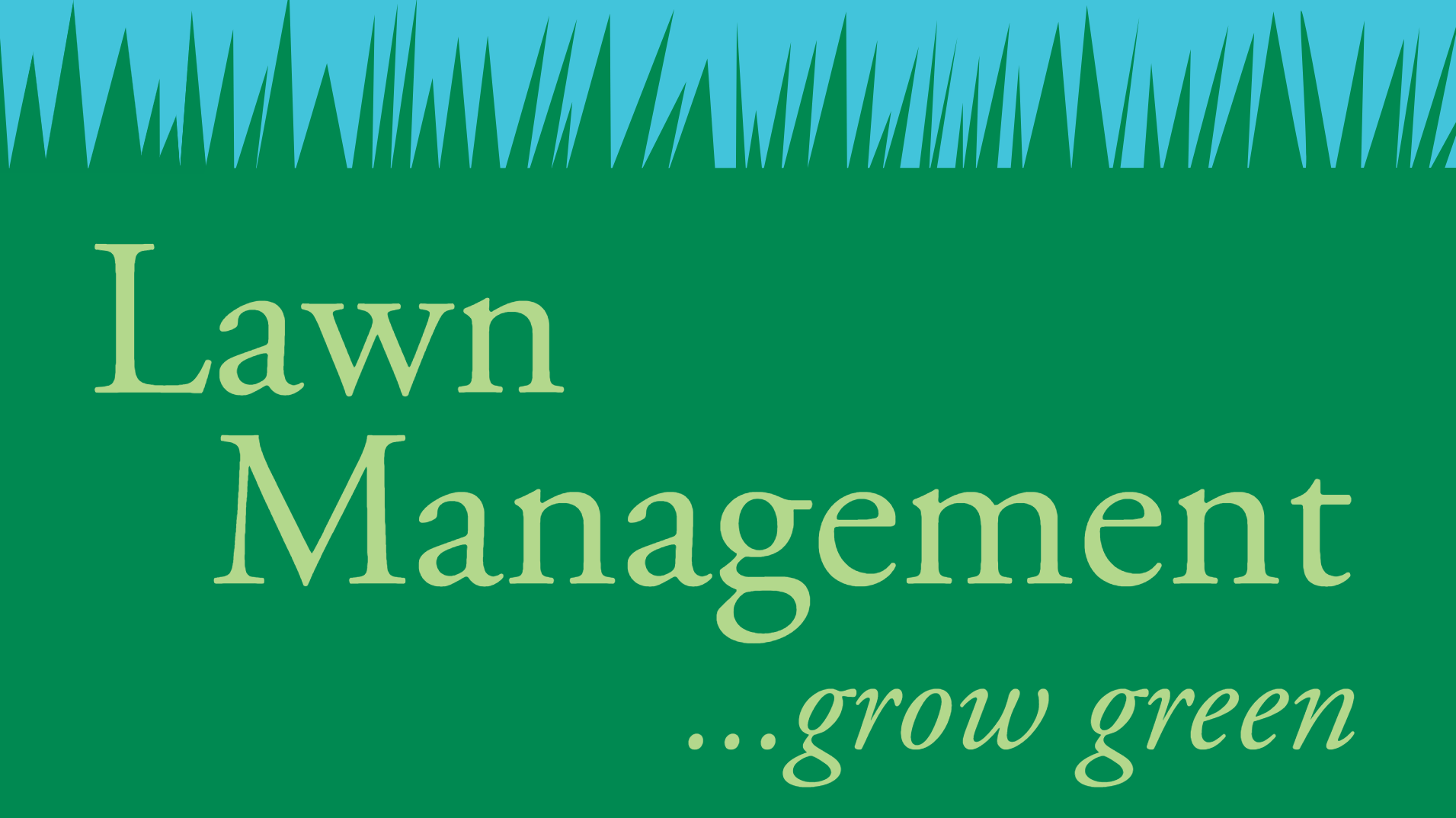 Lawn Management - logo