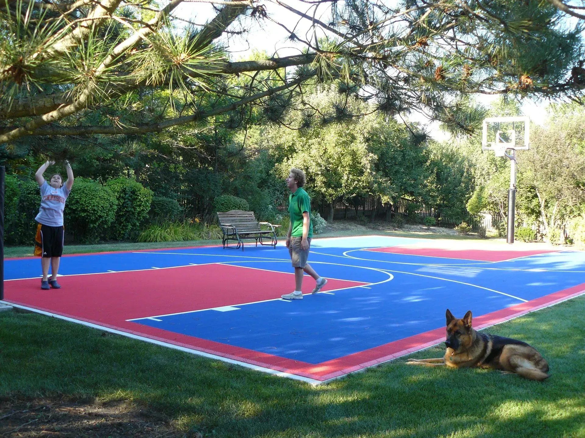 Two people play on a blue and red backyard basketball court with a German Shepherd resting on the adjacent grass.