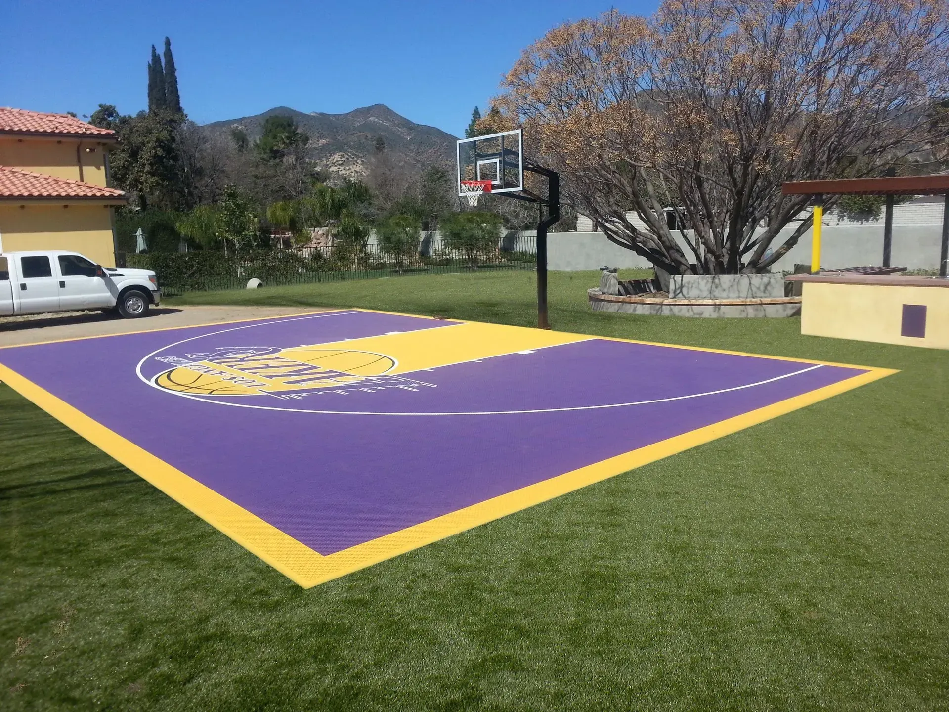 A purple and yellow basketball court with a Lakers logo, set in a residential backyard with artificial grass.